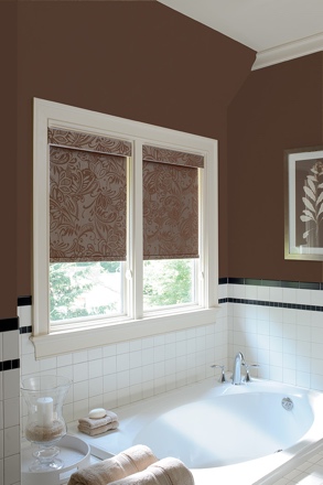 Boise roller shades small